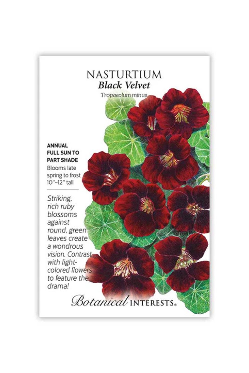 Botanical Interests Black Velvet Nasturtium Seeds