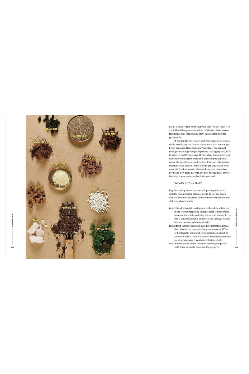 Happy Plant: A Beginner's Guide to Cultivating Healthy Plant Care Habits