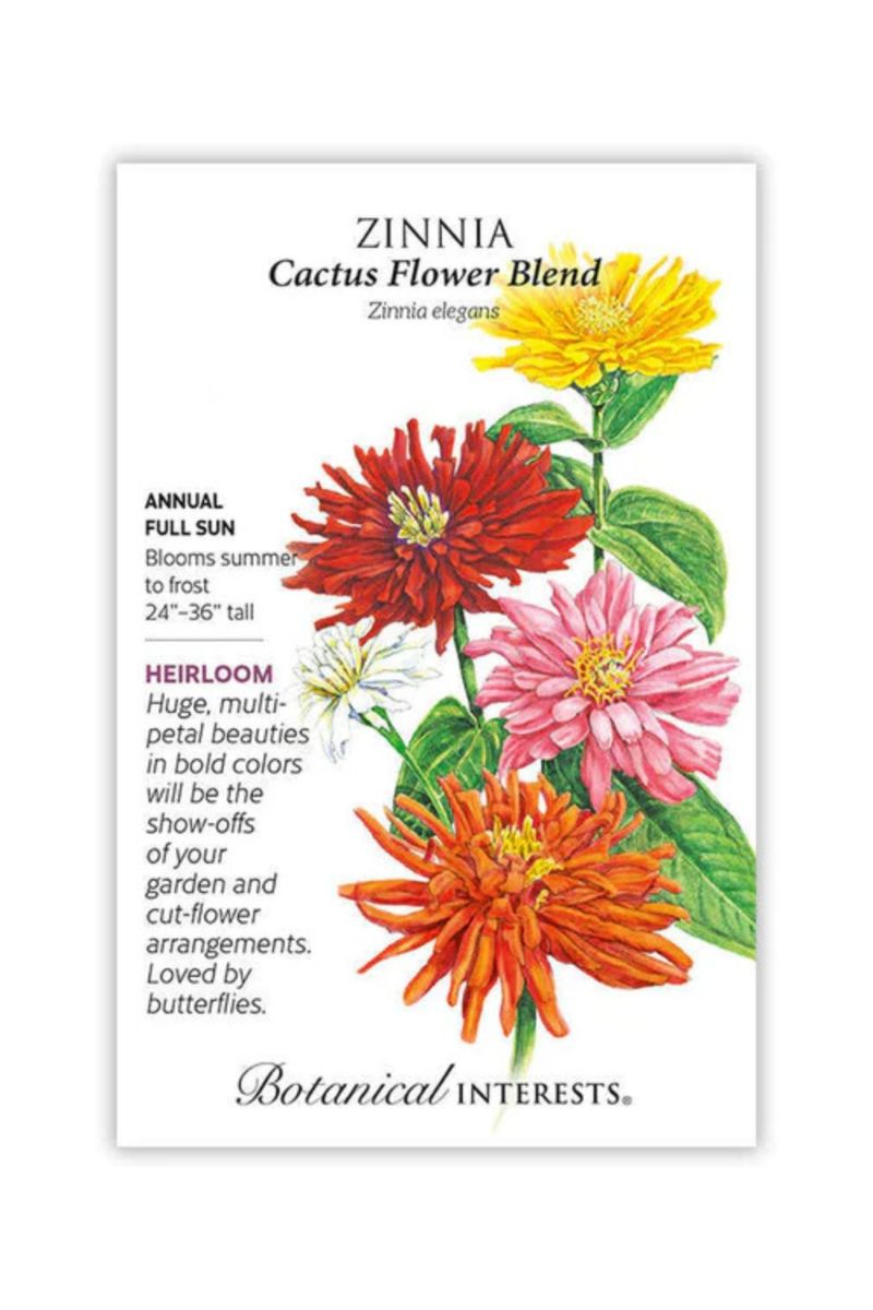 Botanical Interests Cactus Flower Blend Zinnia Seeds