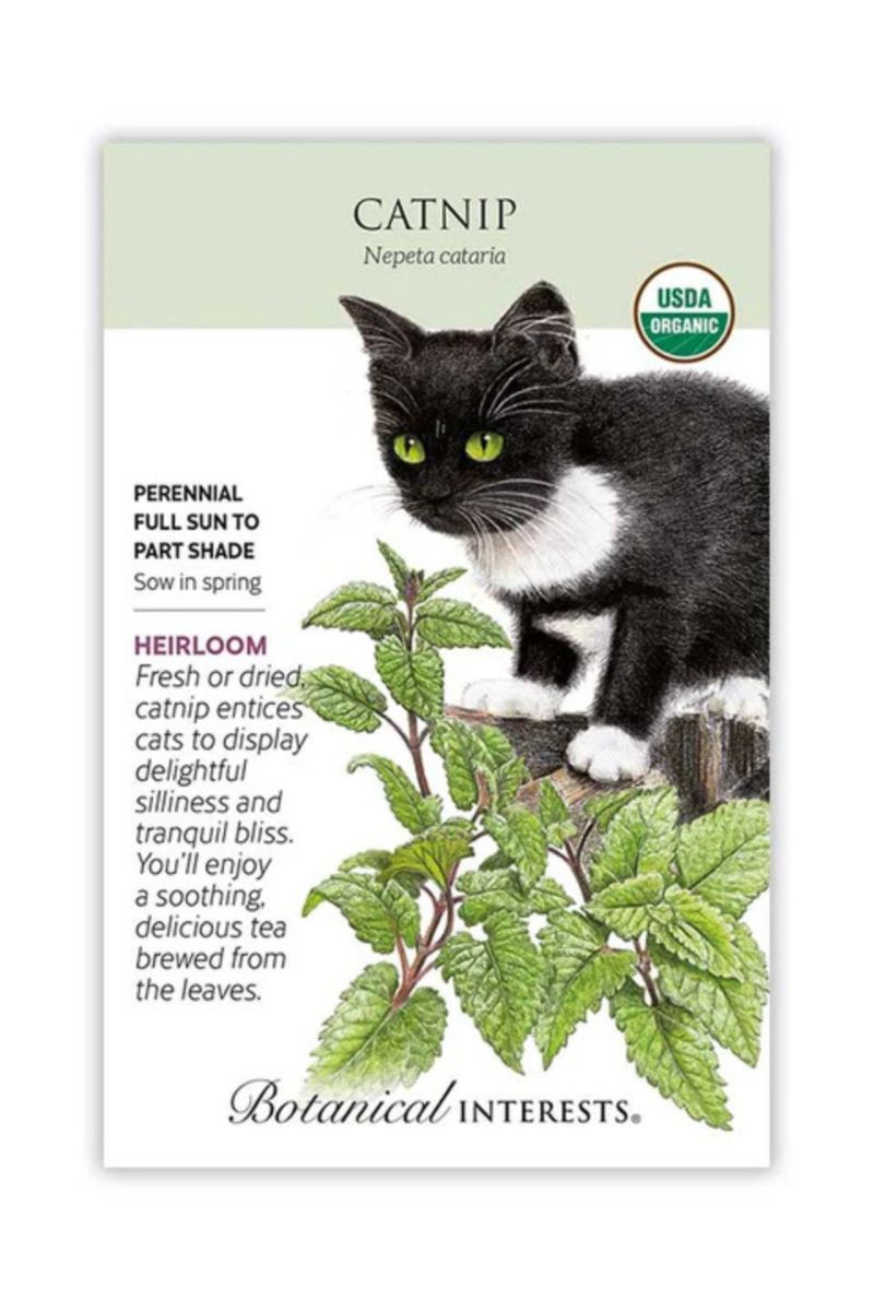 Botanical Interests Catnip Organic Seeds