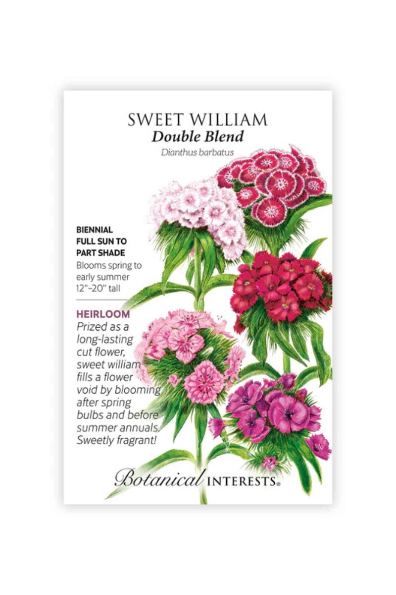 Botanical Interests Double Blend Sweet William Seeds