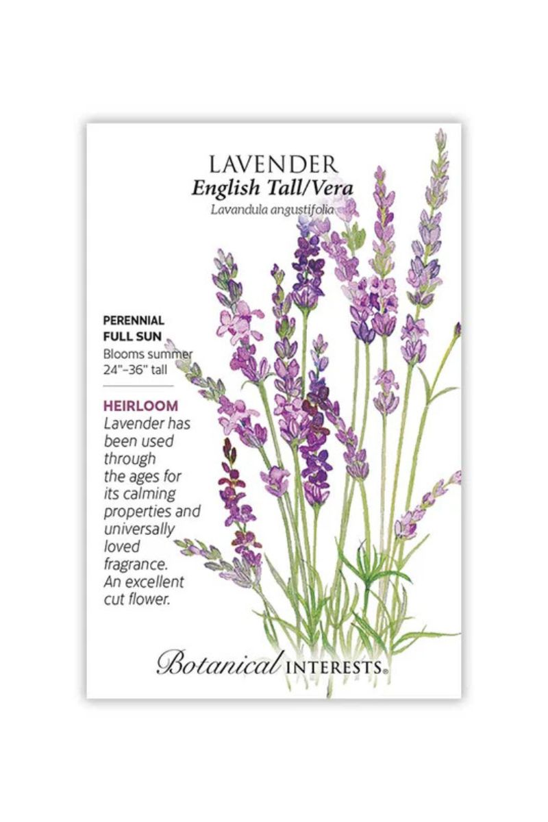 Botanical Interests English Tall/Vera Lavender Seeds