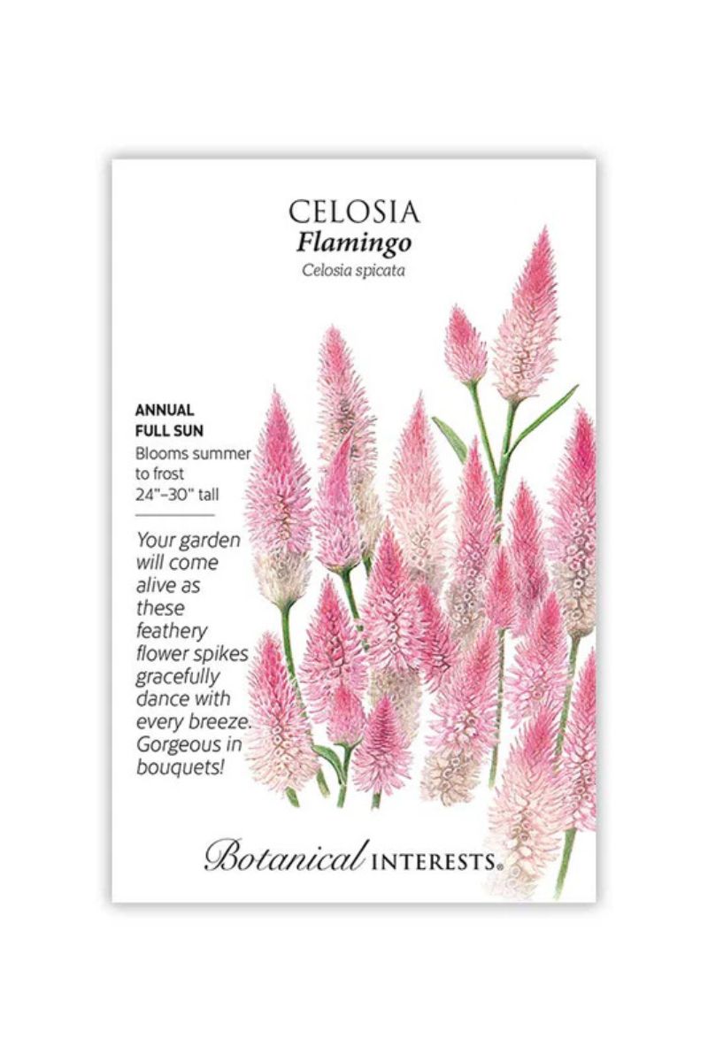 Botanical Interests Flamingo Celosia Seeds