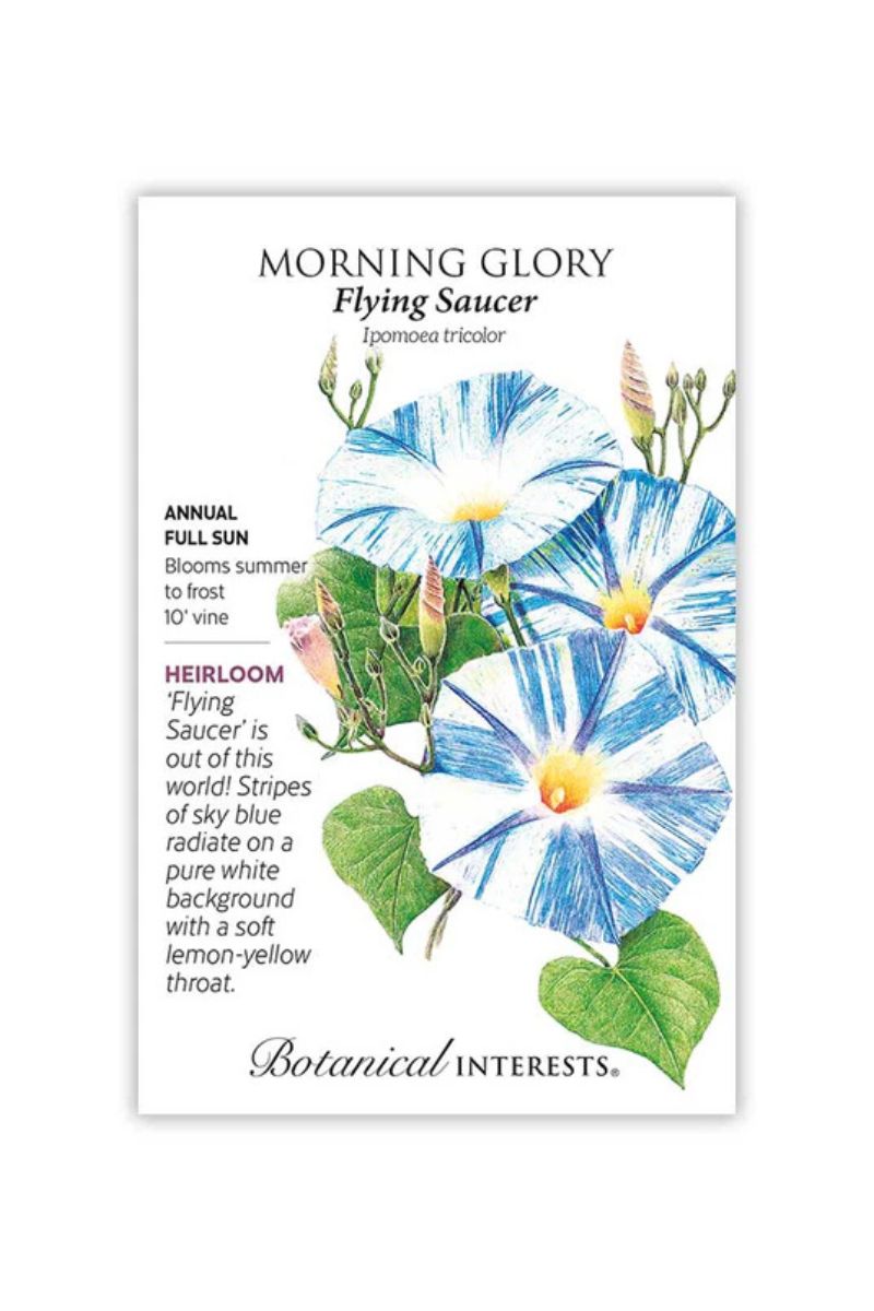 Botanical Interests Flying Saucer Morning Glory Seeds