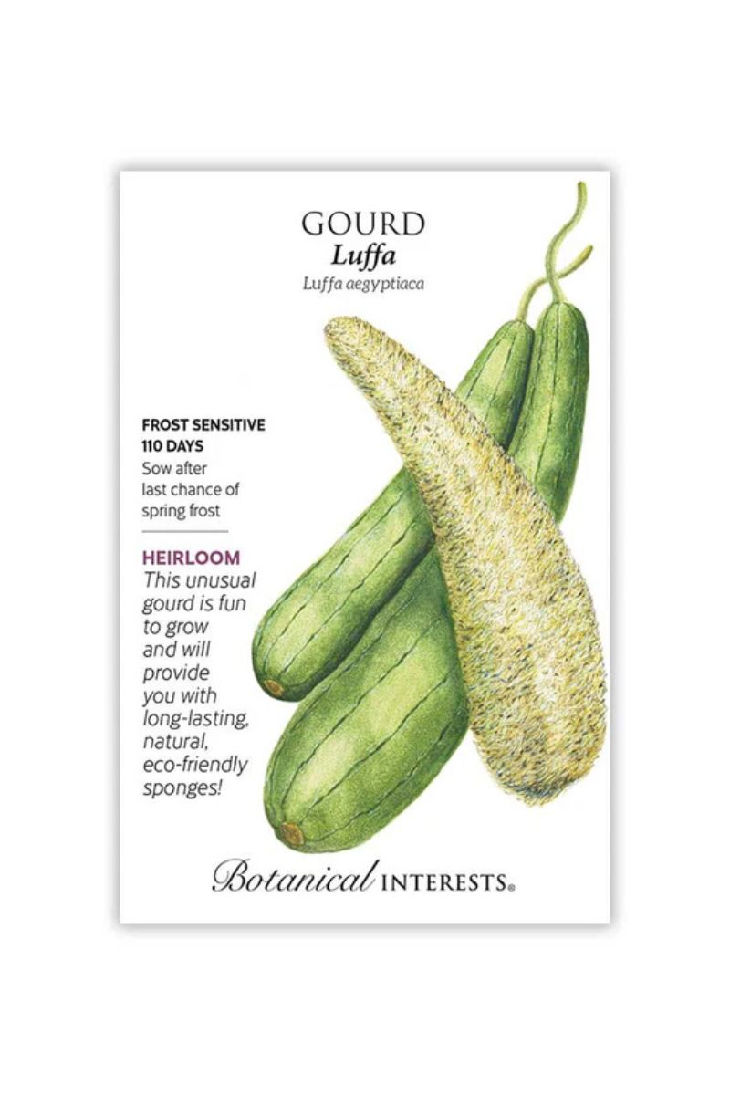 Botanical Interests Luffa Gourd