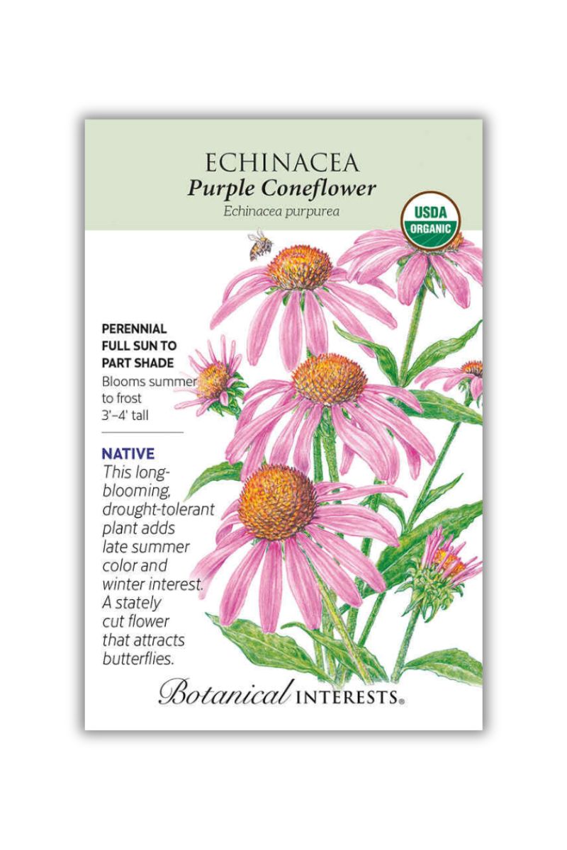 Botanical Interests Purple Coneflower Echinacea Seeds