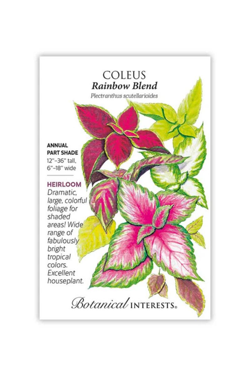Botanical Interests Rainbow Blend Coleus Seeds