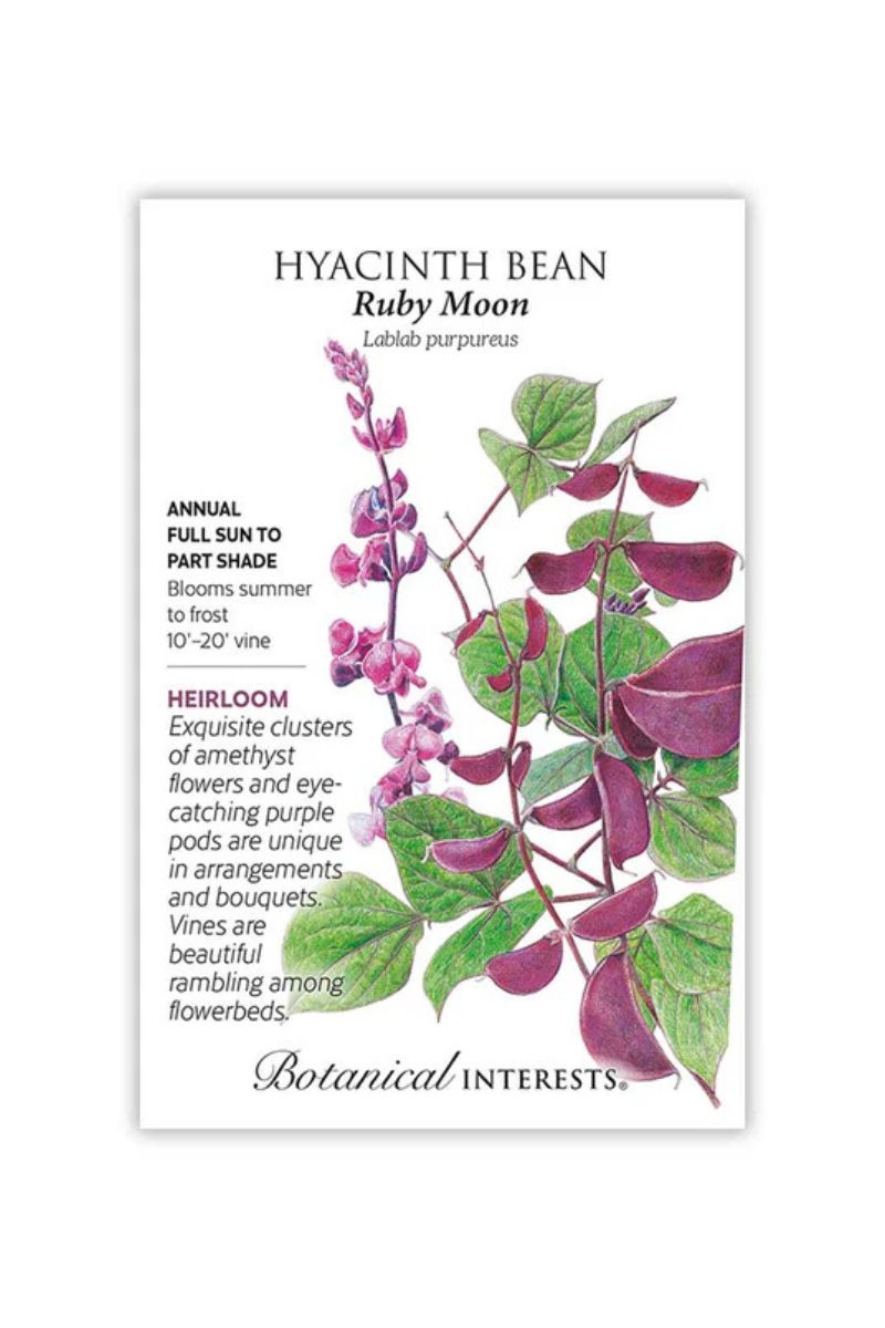 Botanical Interests Ruby Moon Hyacinth Bean Seeds