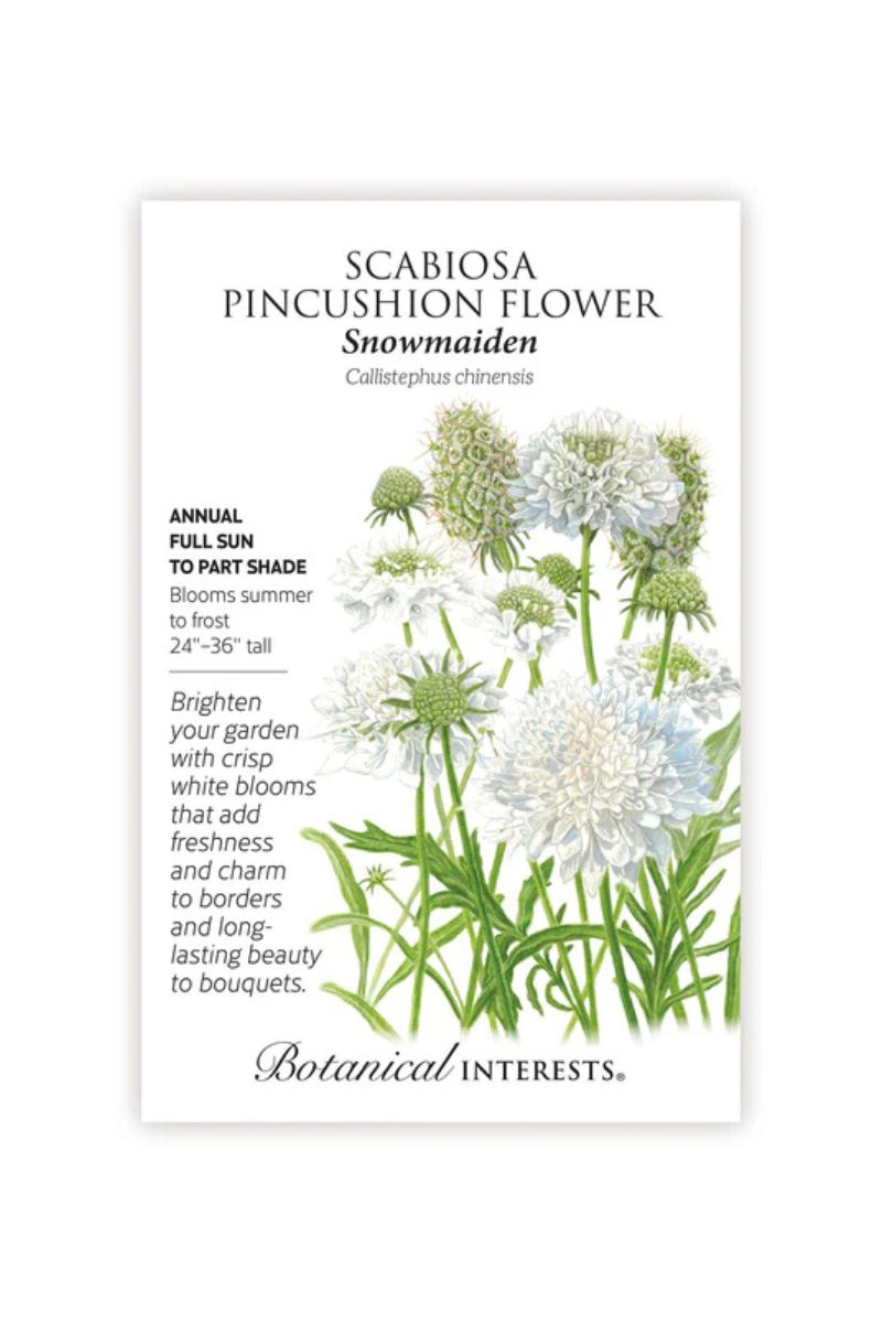 Botanical Interests Snowmaiden Scabiosa Seeds