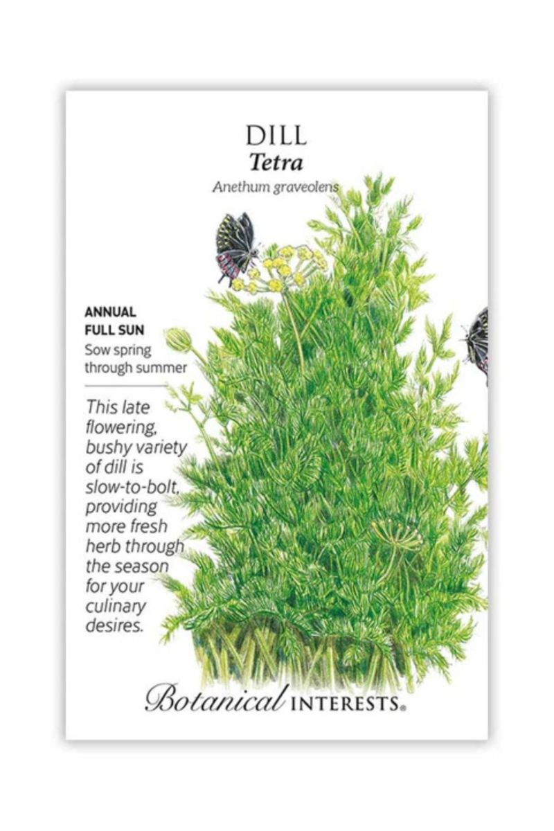 Botanical Interests Tetra Dill Seeds