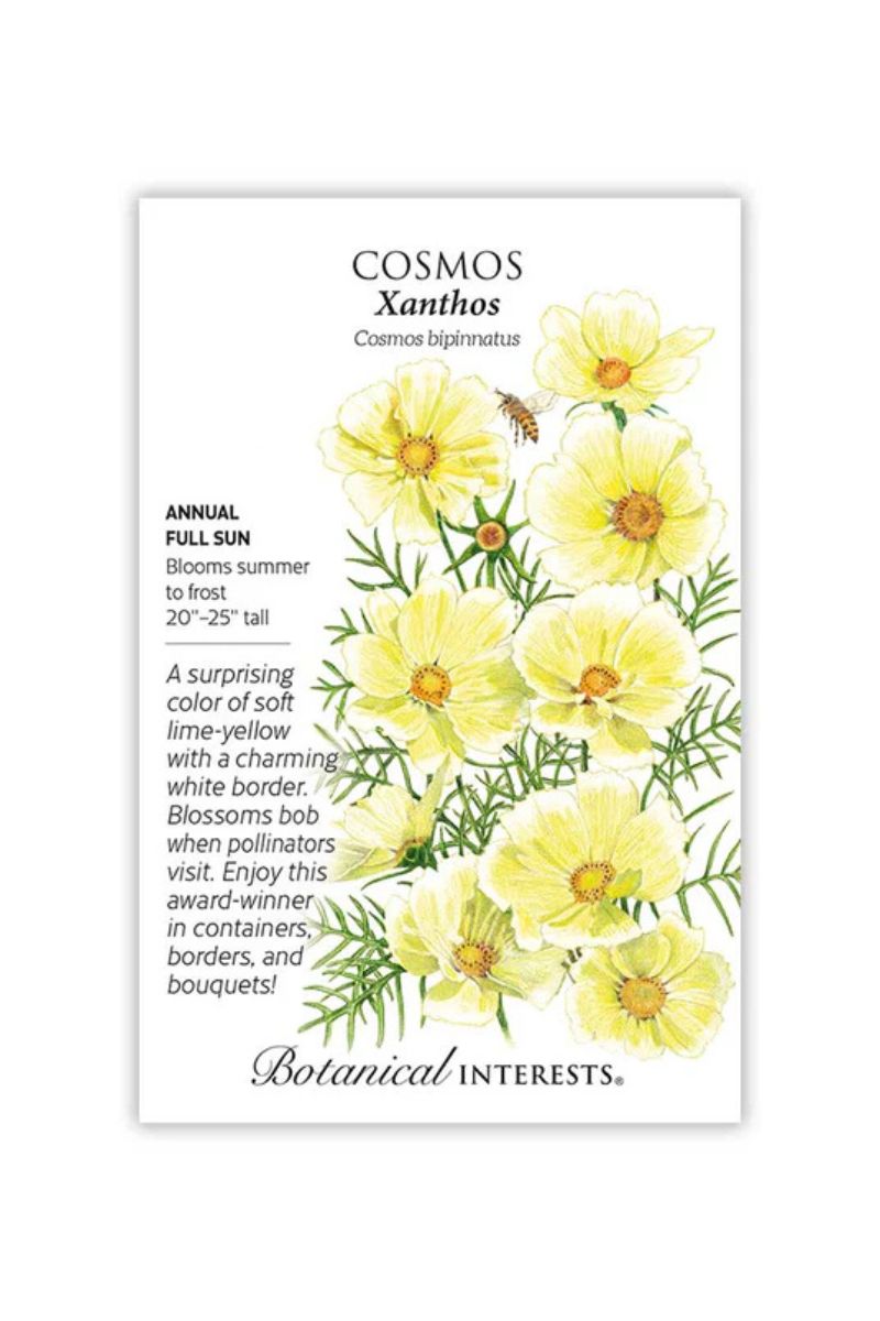Botanical Interests Xanthos Cosmos Seeds