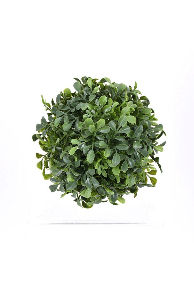 SILK, BOXWOOD BALL UV 10"