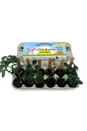 KIT, LTL BUNNY GDN SEEDS