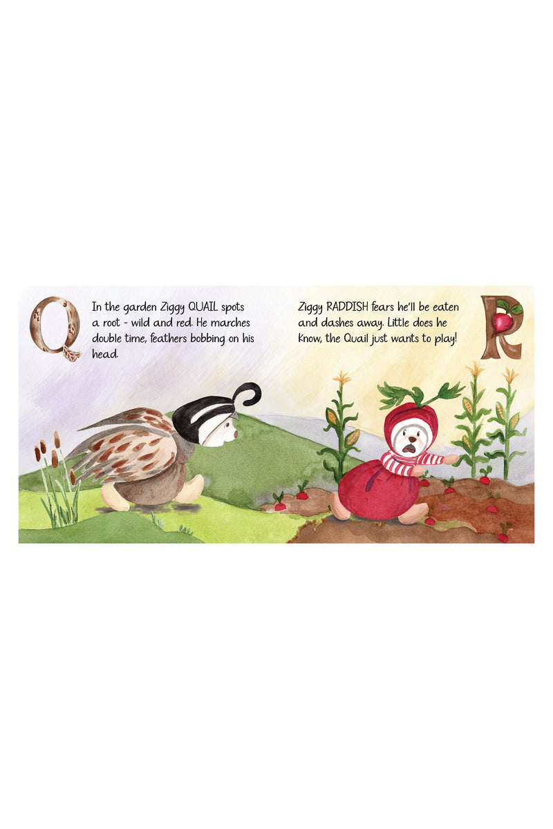 Bukowski Z Is For Ziggy Book