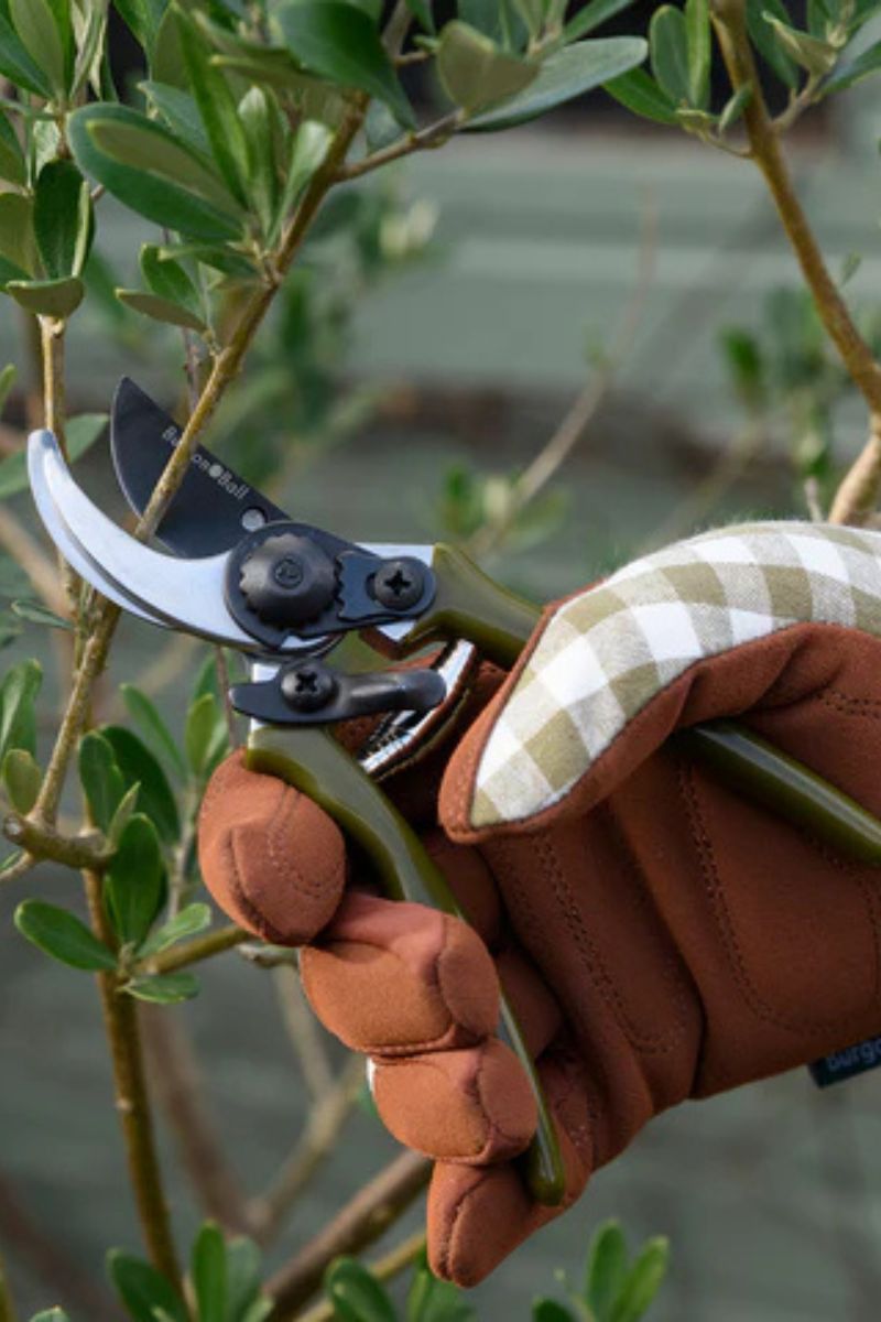 Burgon & Ball Colour Collection Gloves Olive Check