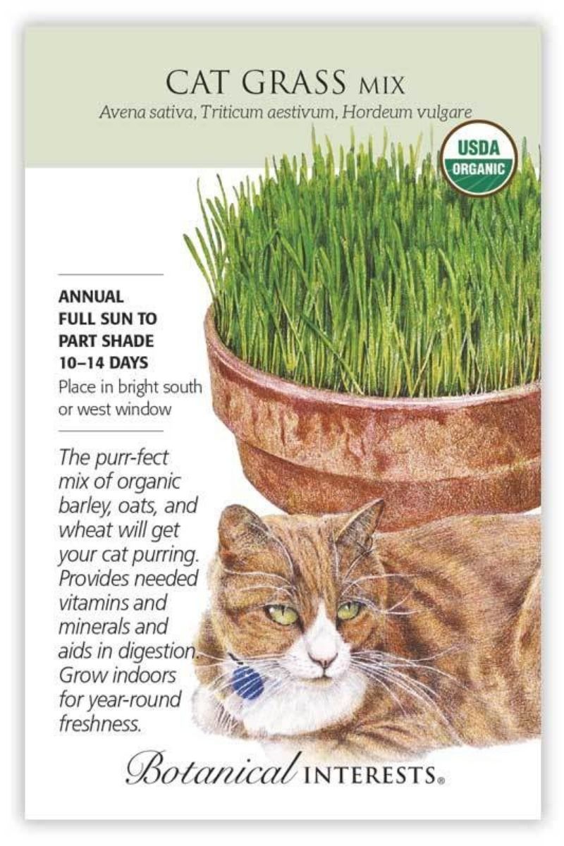 Botanical Interests Cat Grass Organic Seeds