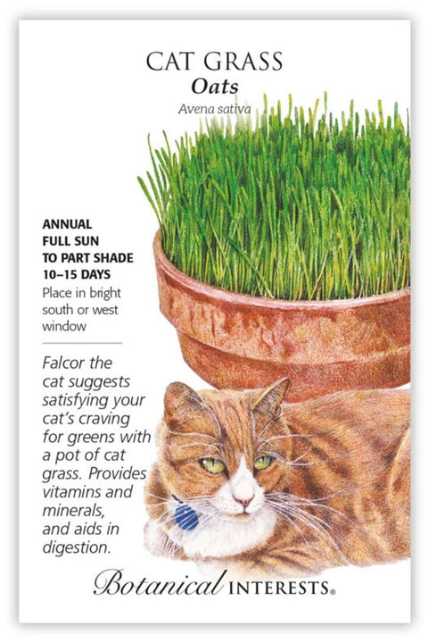 Botanical Interests Cat Grass Seeds