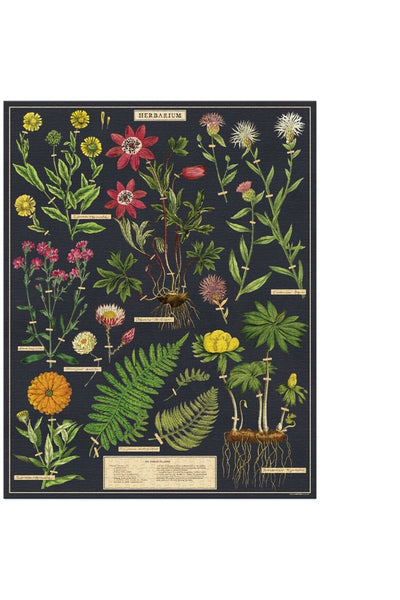 Cavallini & Co. Herbarium Vintage Puzzle 1000 Pieces