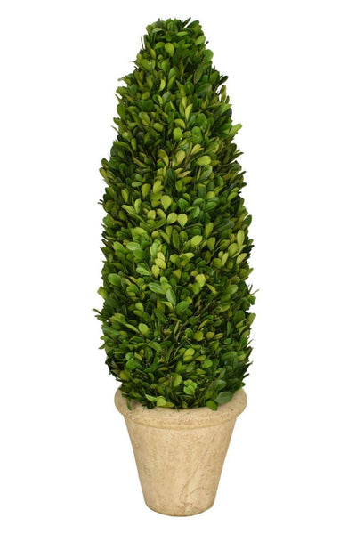 SILK TOPIARY BXWD CONE  LG 24"