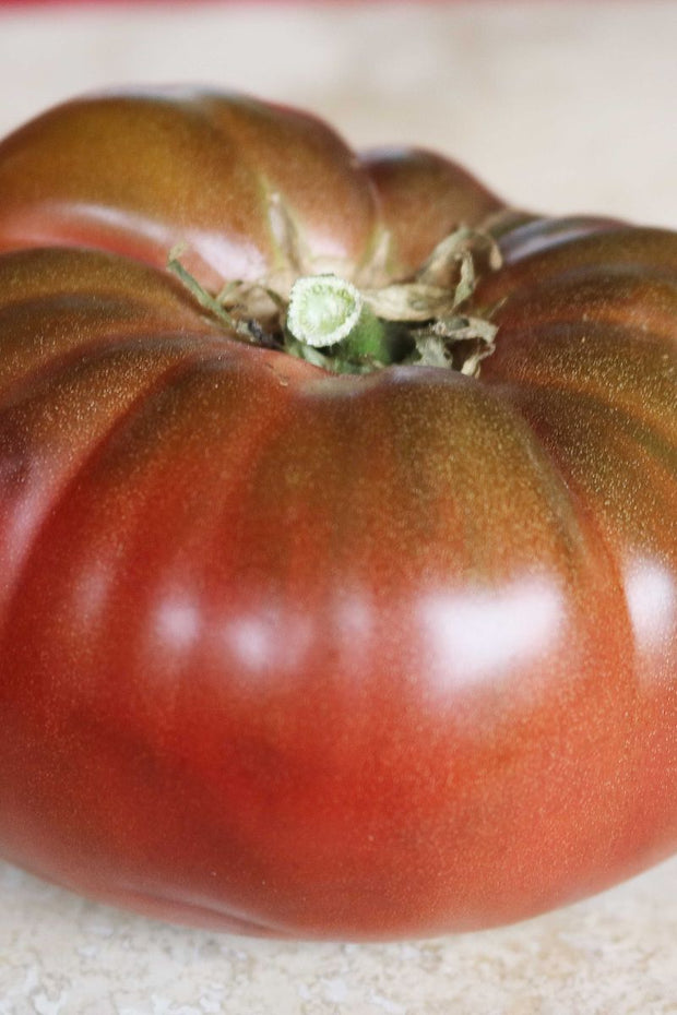 Seed Savers Cherokee Purple Tomato
