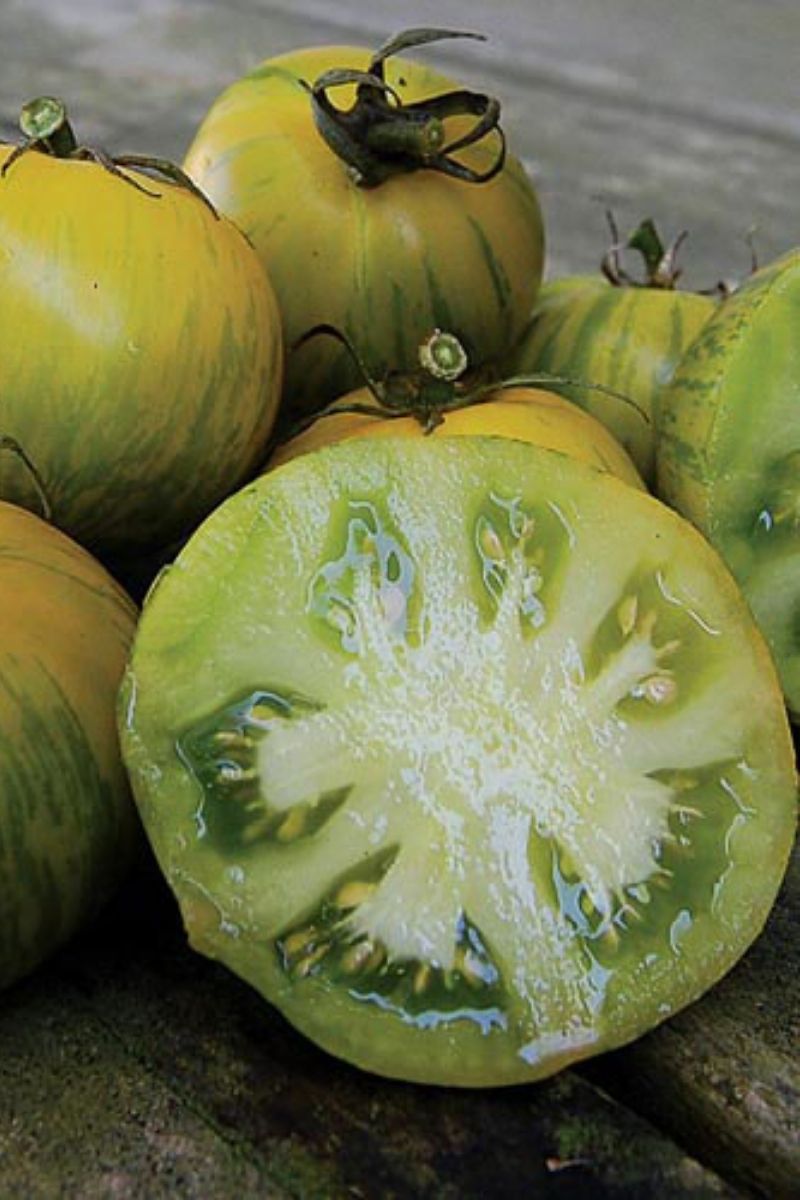 Seed Savers Green Zebra Organic Tomato