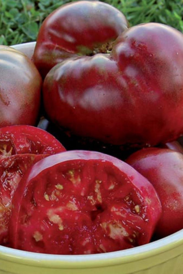 Seed Savers Black Krim Tomato