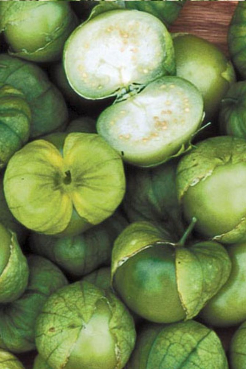 Seed Savers Green Husk Organic Tomatillo