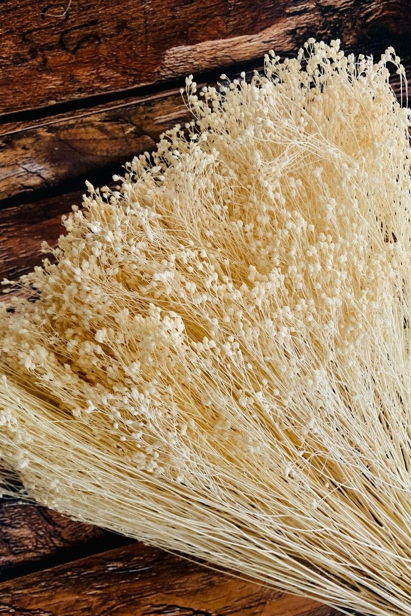 DRIED GYPSY BLOOM BLEACHED
