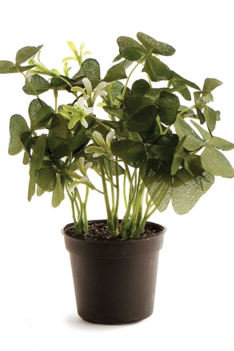 Faux Clover Potted 6.5"