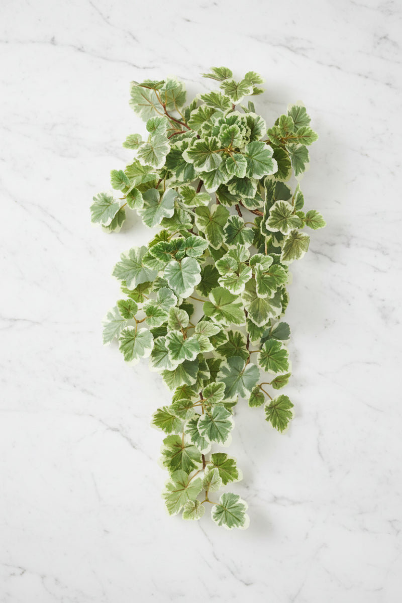 Faux Balfour Aralia Hanging Bush 28" Green Variegated
