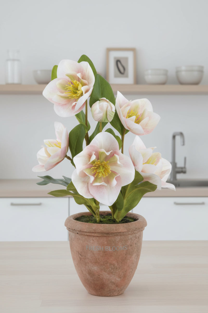 Faux Helleborus in Terra Cotta Pot 12" Pink & Green