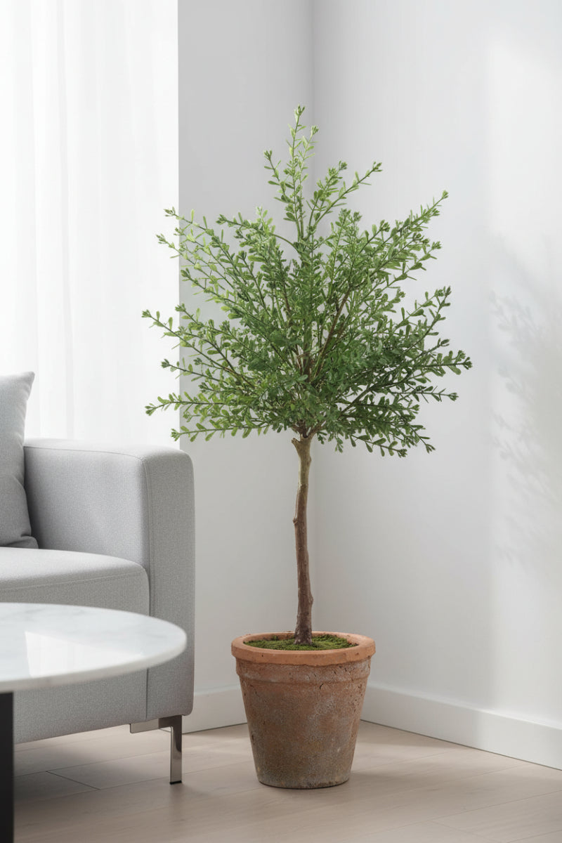 Faux Myrtle Topiary in Clay Pot 23" Green