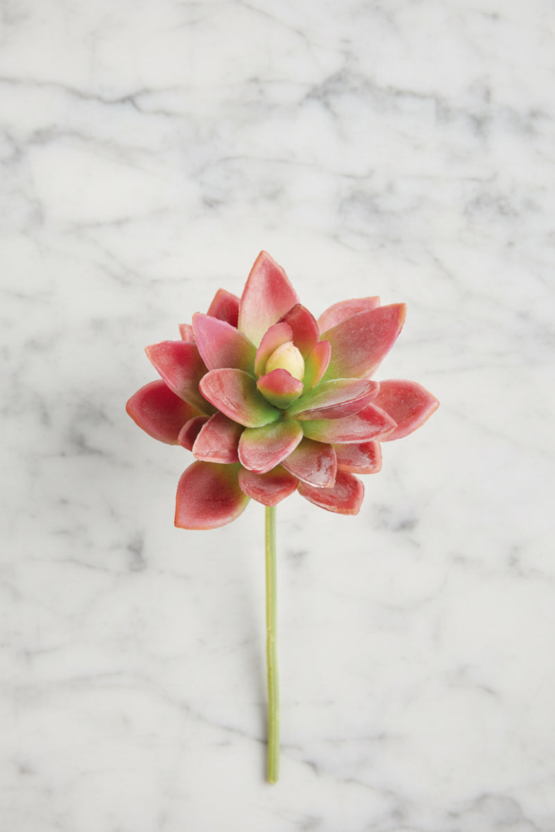 Faux Real Touch Mini Agave Pick 5" Red & Green