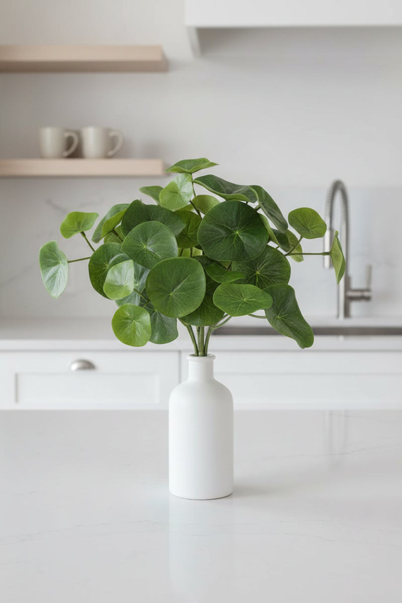 Faux Stephania Erecta Bush 9" Green