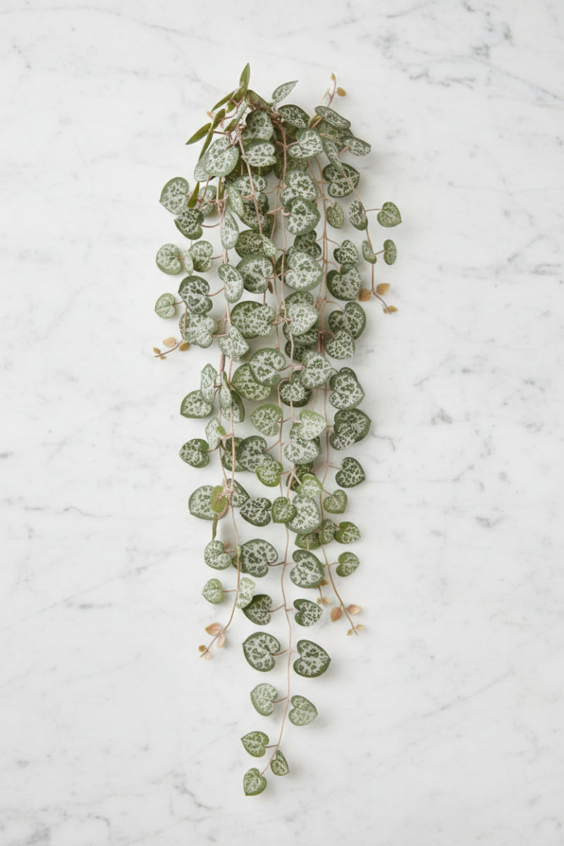 Faux String of Hearts Plant 21.5" Two Tone Green