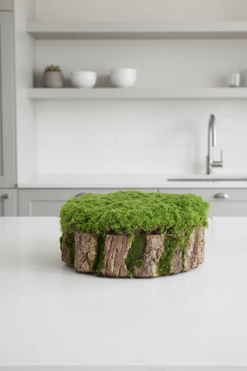 Moss Stump 13"x 5" Green