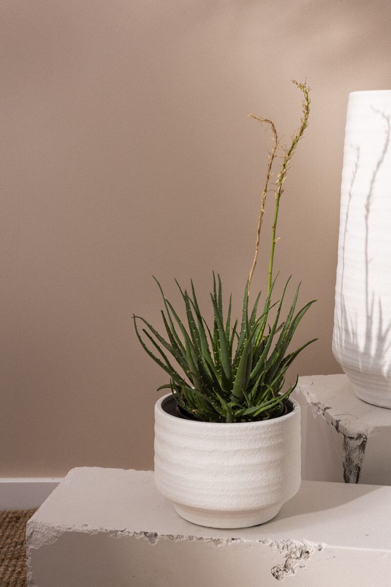 Andrade Pot 7.5"x 6" White