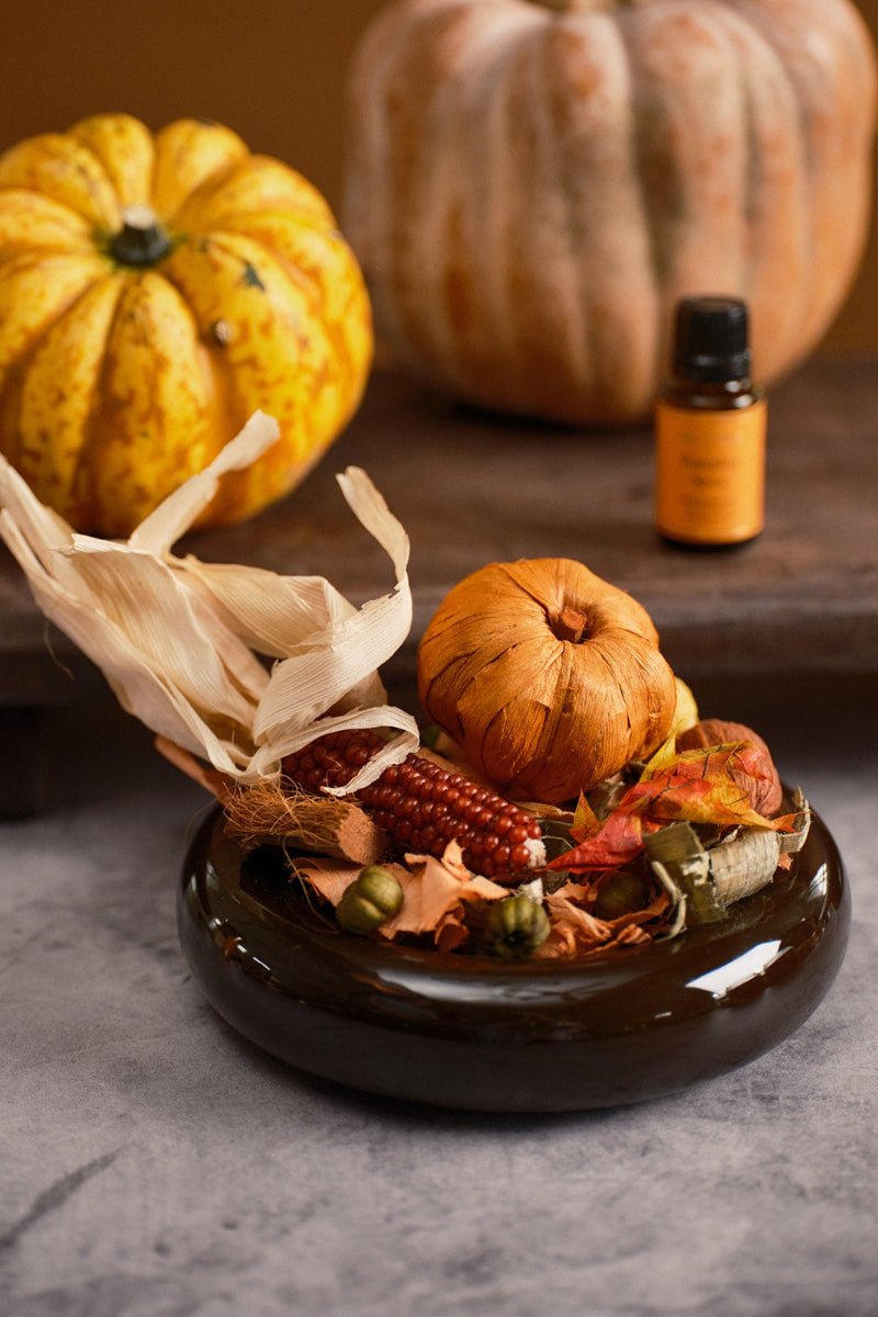 Aromatique Pumpkin Spice Decorative Fragrance Bag 7 oz