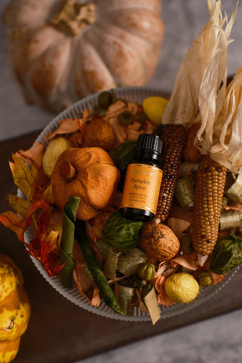 Aromatique Pumpkin Spice Decorative Fragrance Bag Large 11 oz