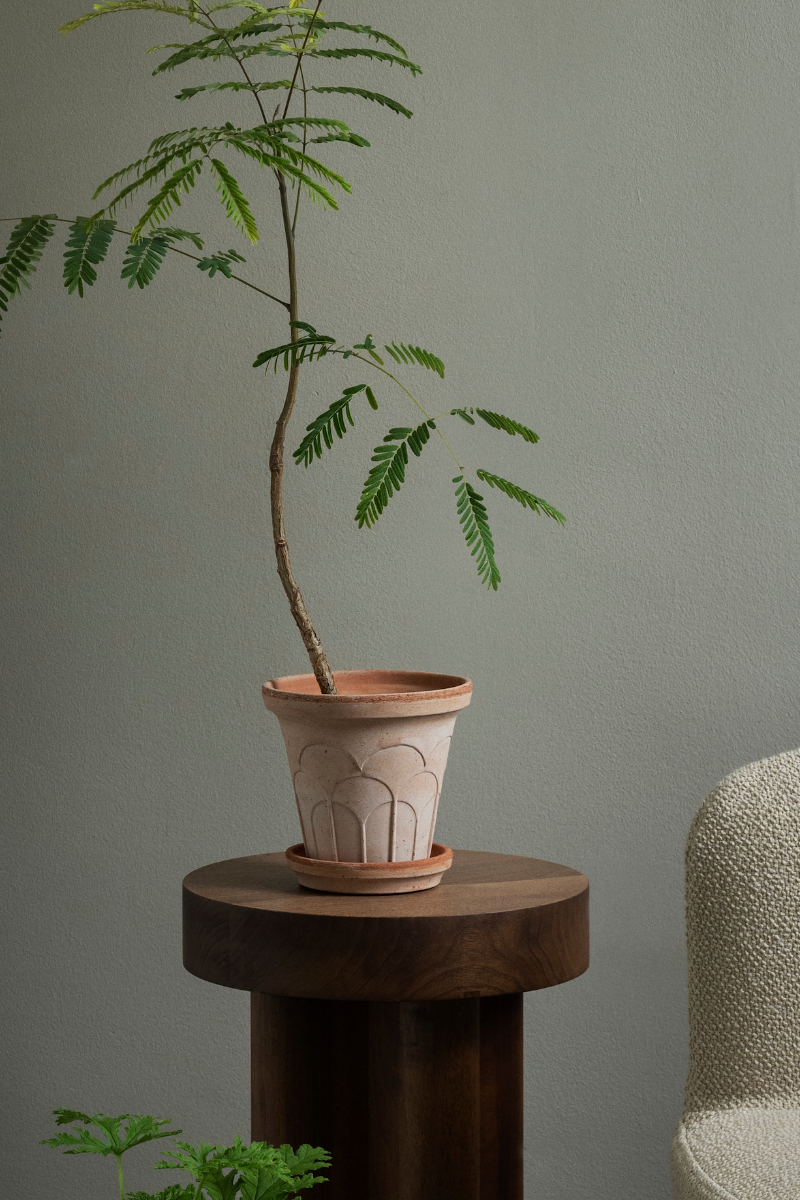 Fleur Pot with Saucer 6.3" RAW Rosa