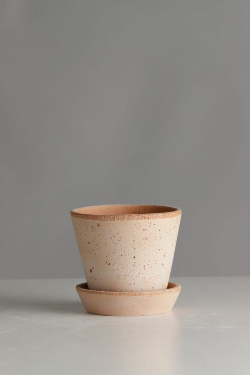 Julie Pot With Saucer 3.9"x 3.3" RAW Rosa