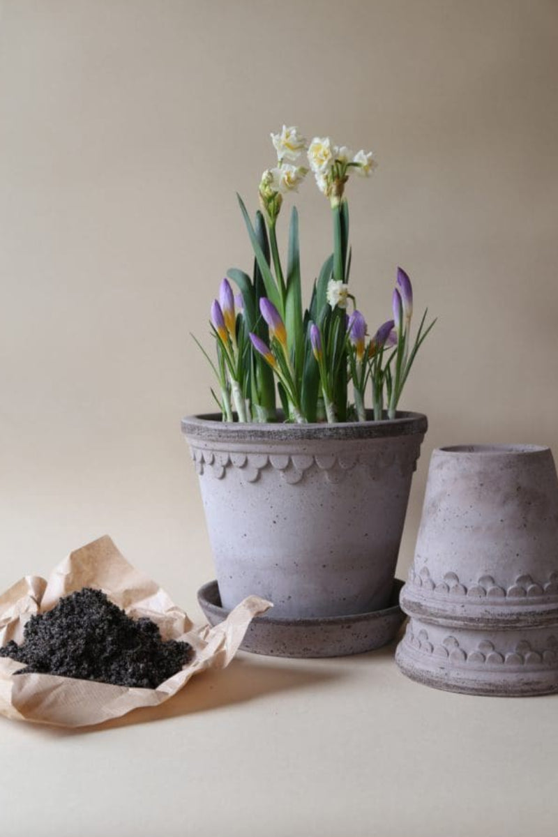 Kobenhavner Pot with Saucer 7.1"x6.3" RAW Grey