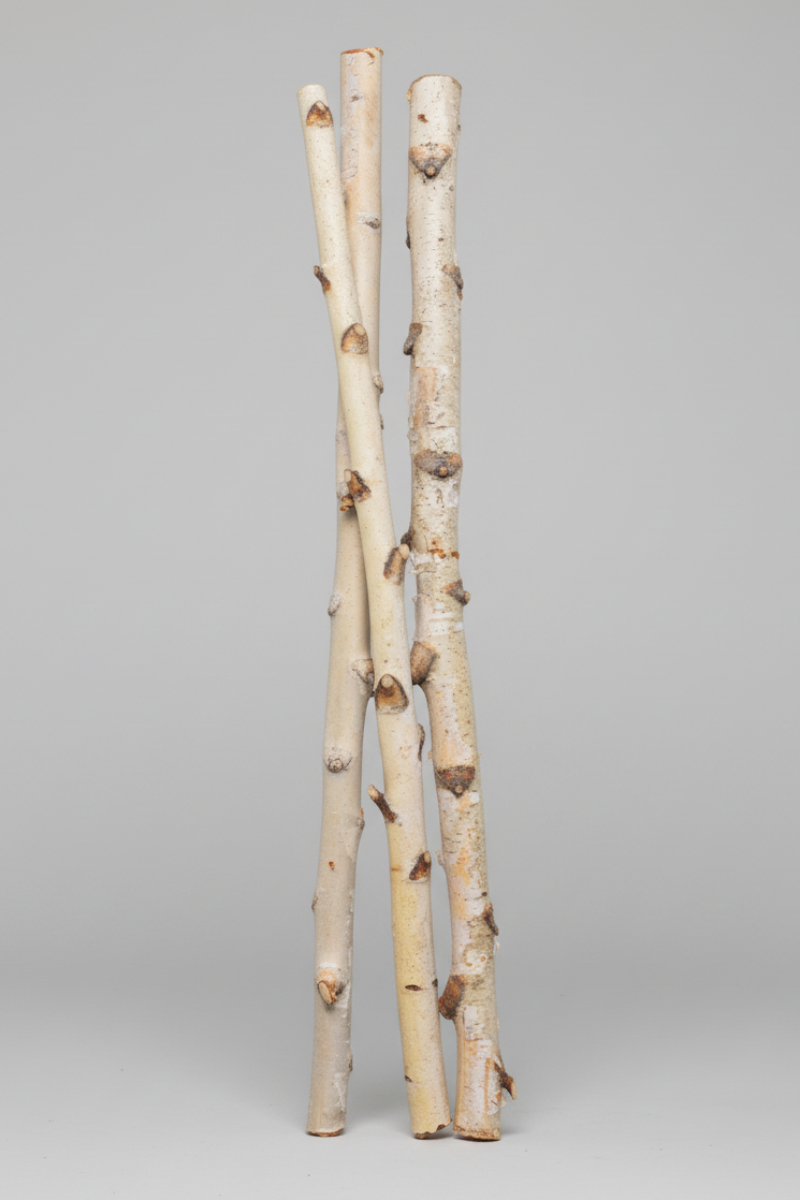 Birch Pole 3'