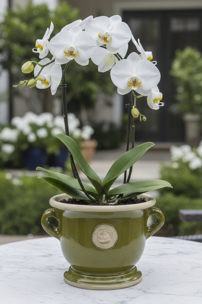 Kew Pottery – Chalet
