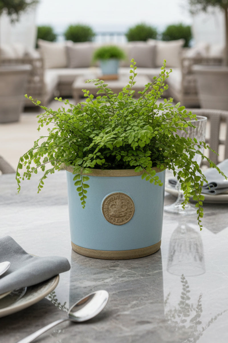 Chelsea Kew Round Herb Planter 4" Duck Egg Blue
