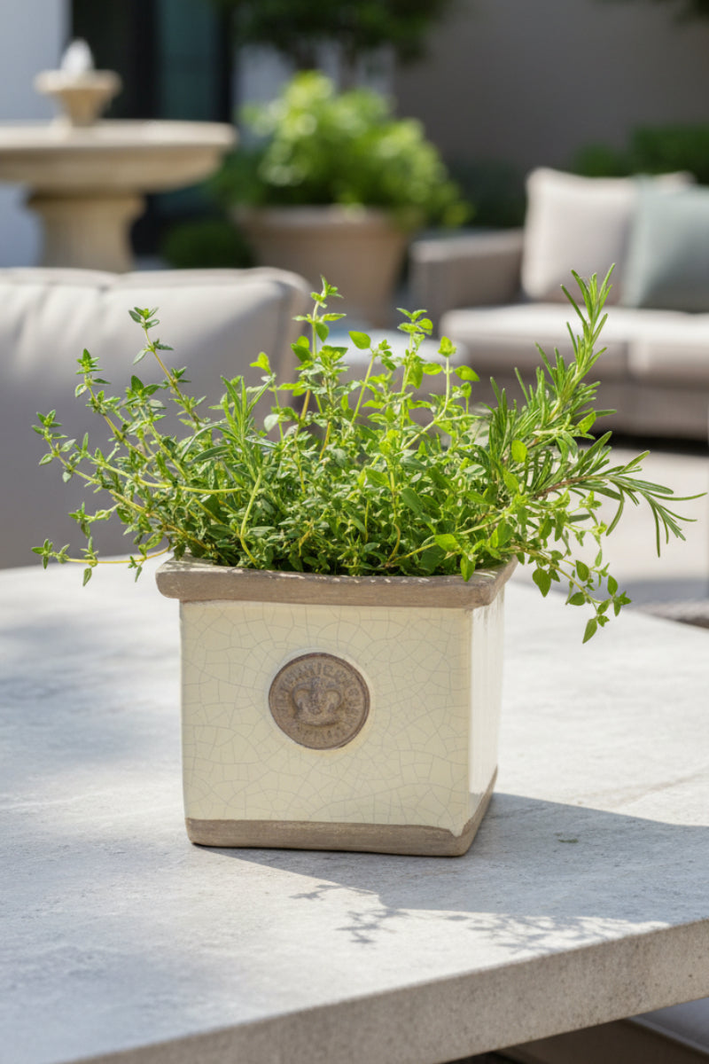 Cornwall Kew Square Herb Planter 4" Ivory