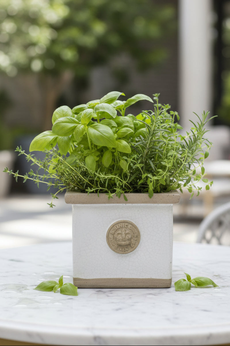 Cornwall Kew Square Herb Planter 4" Old White