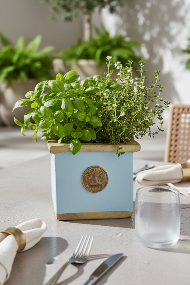 Cornwall Kew Square Herb Planter 4" Duck Egg Blue