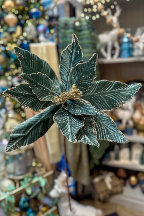 Velvet Poinsettia Stem 22" Dusty Green