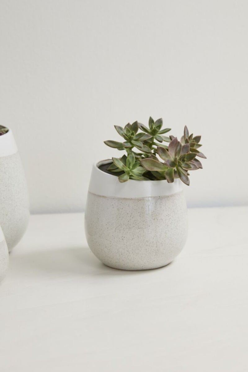Choice Pot 5.5"x 5.75" Off White